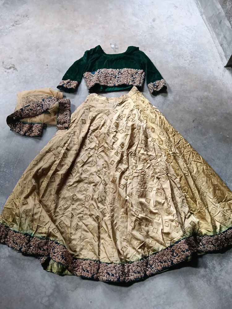 Elegant Lehenga Choli Set