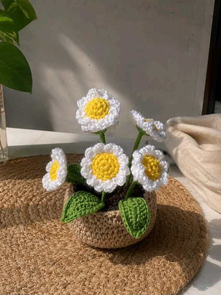 Crocheted Daisy Flower Pot