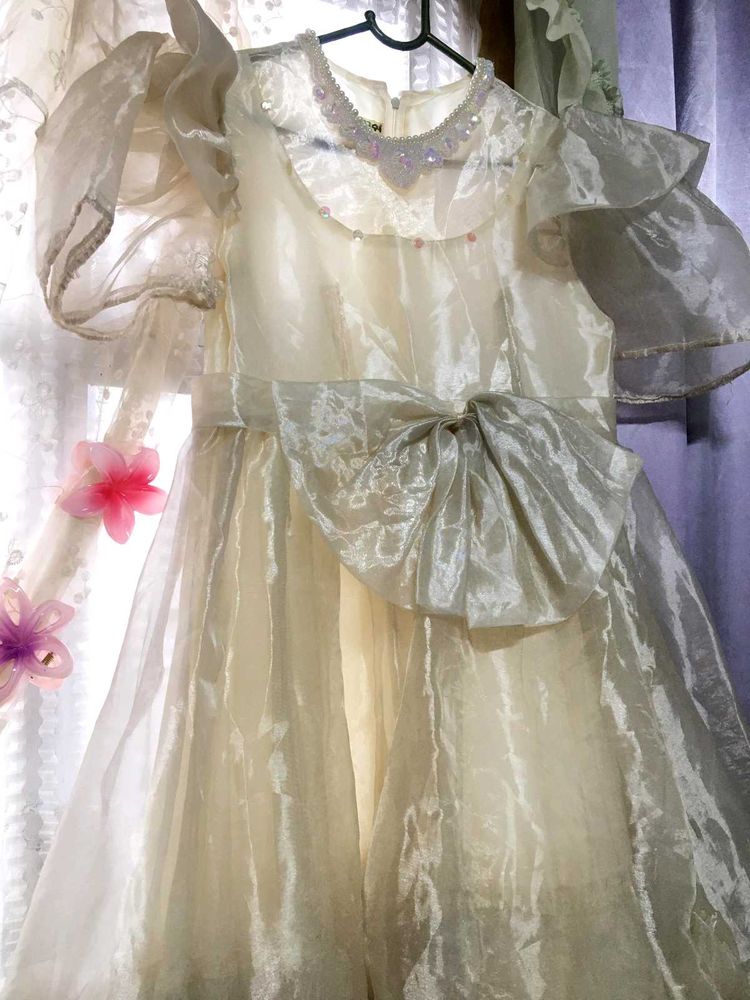 Elegant Dress