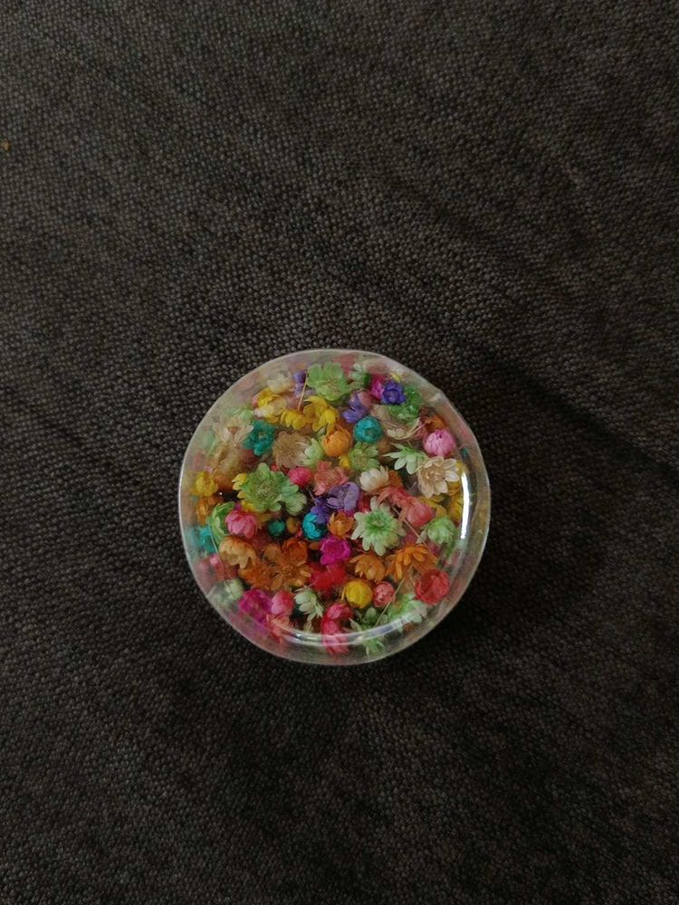 Mini Dried Flowers
