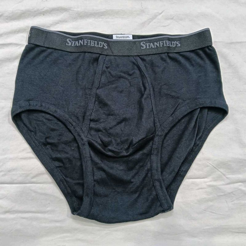 ⭐⭐Stanfields Men's Briefs
