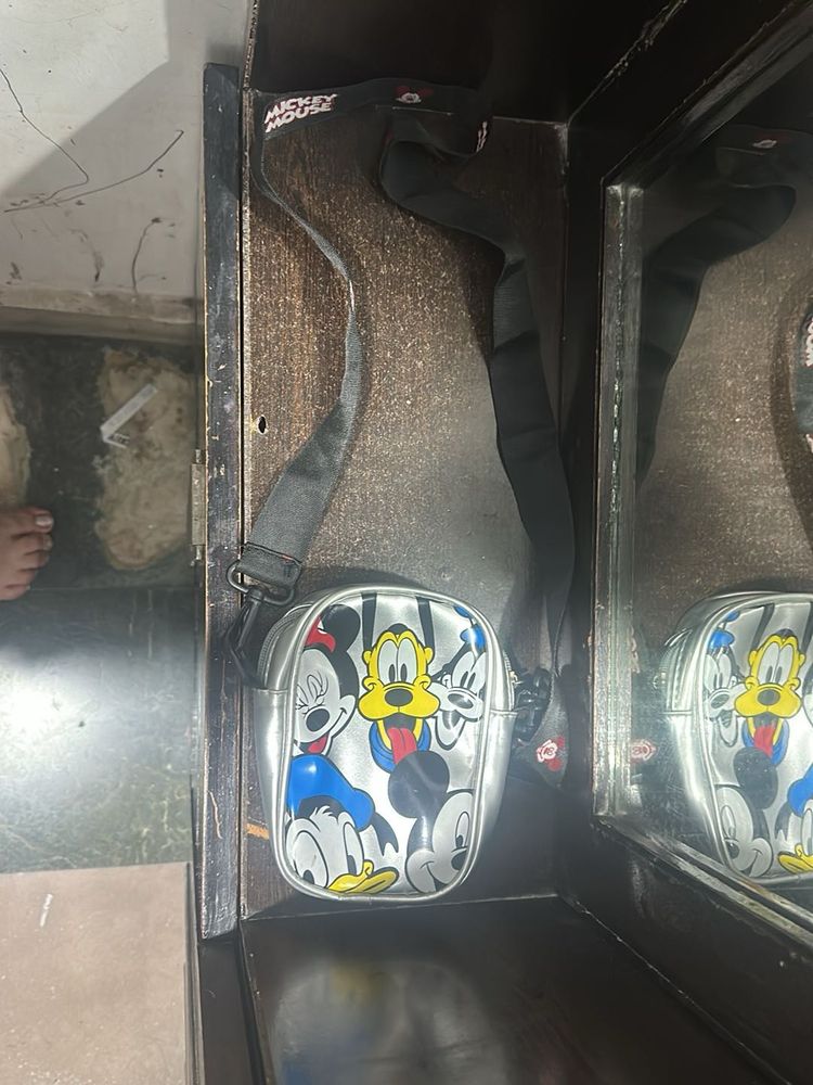 beautiful mickey mouse bag