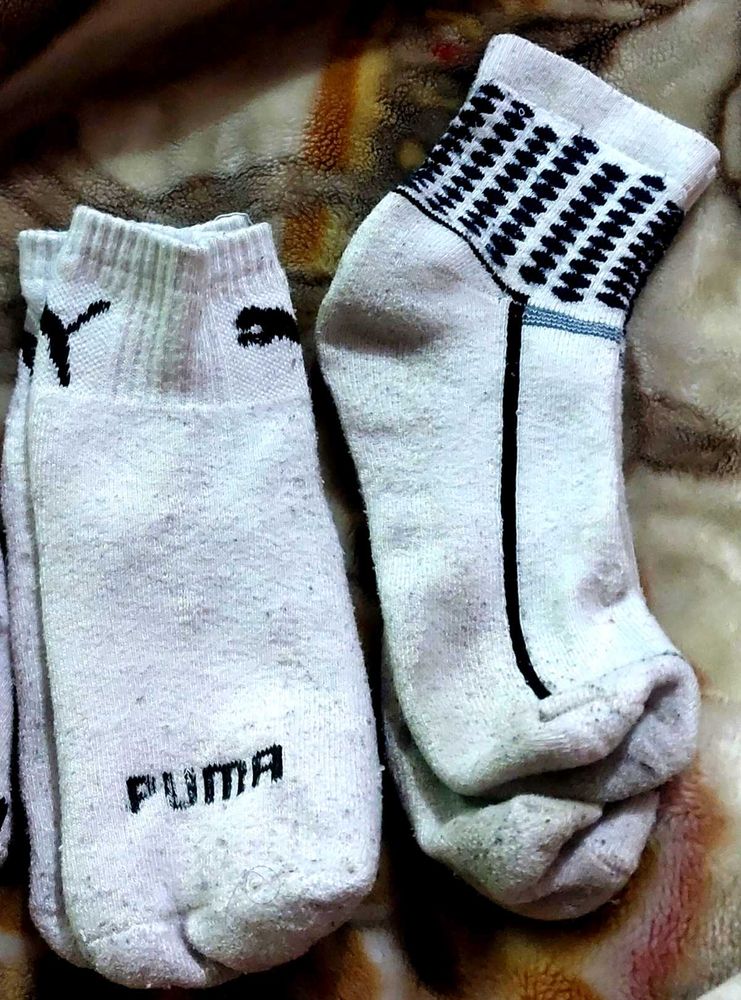 Puma Socks 3 Pairs