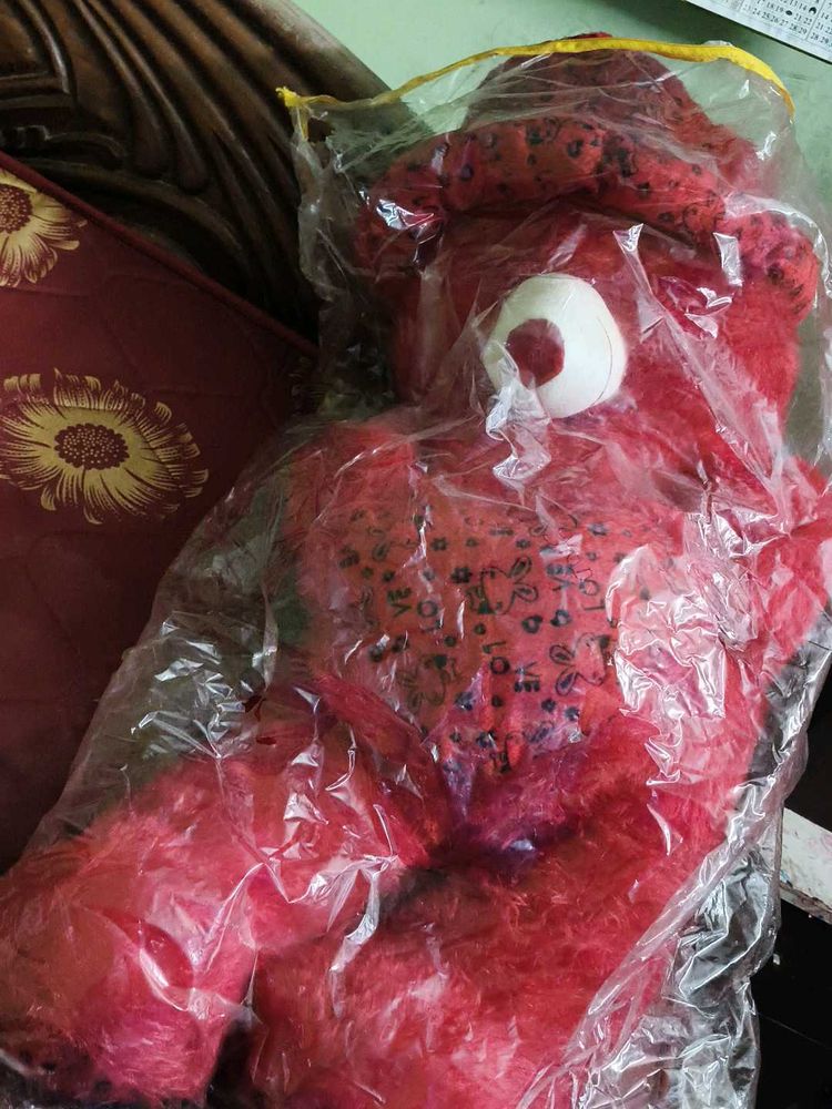 Red Teddy Bear