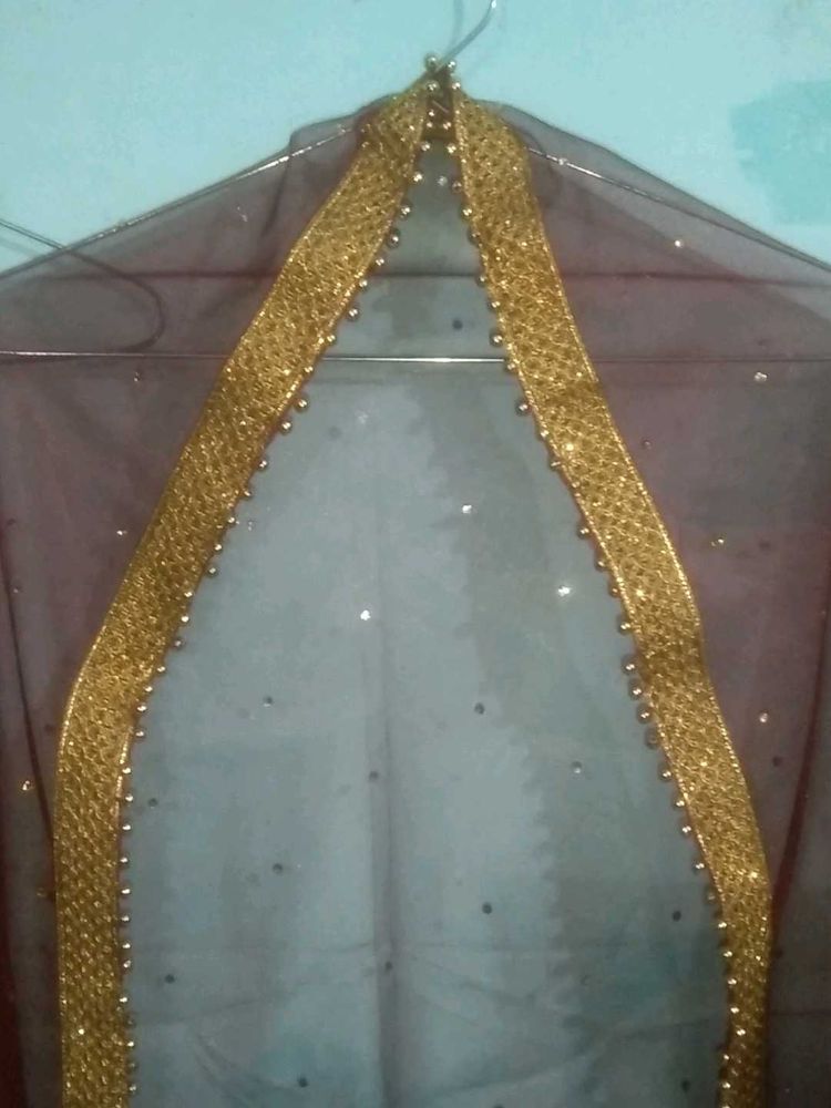 Elegant Dupatta with Gold Border