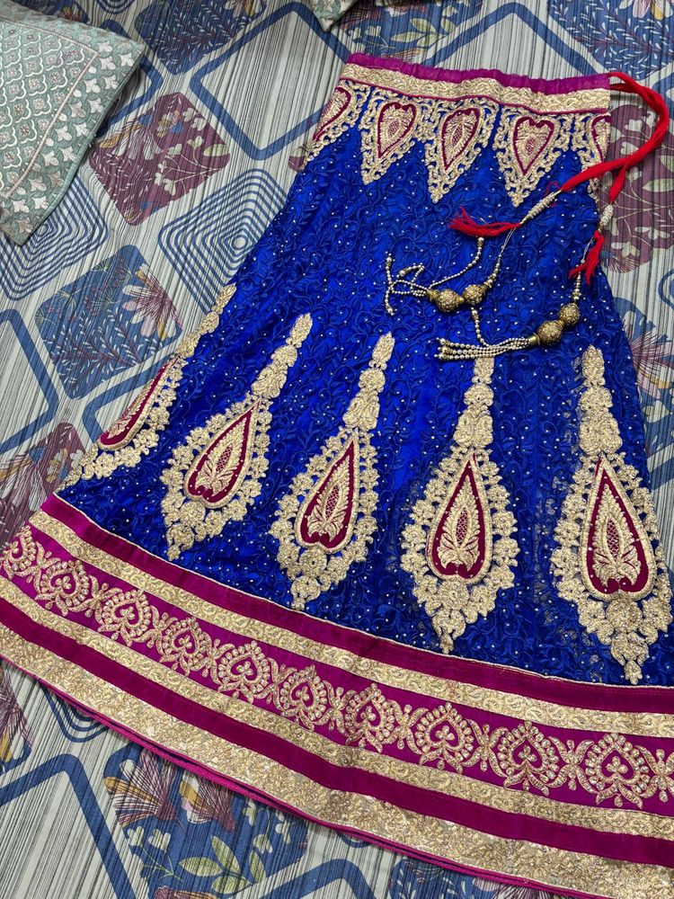 Royal Blue Embroidered Lehenga Skirt
