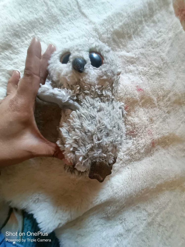 owl soft toy And Tote Bag