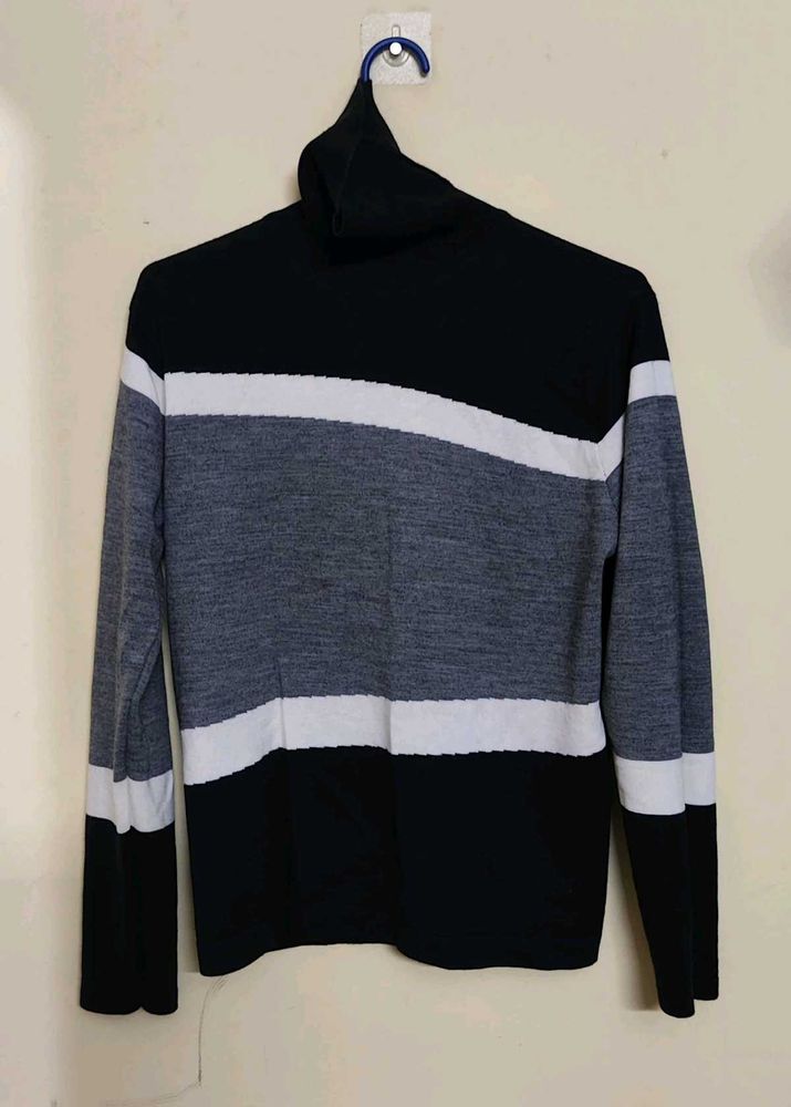 Striped Turtleneck Sweater