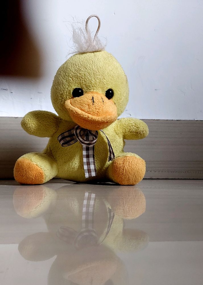 🐥 Teddy Bear Duck  🐥