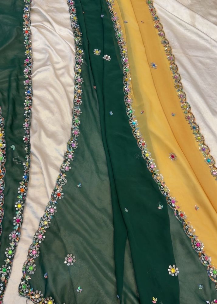 Embellished saree