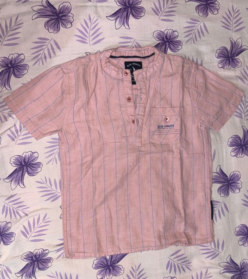 Blue Giraffe Pink Striped Shirt