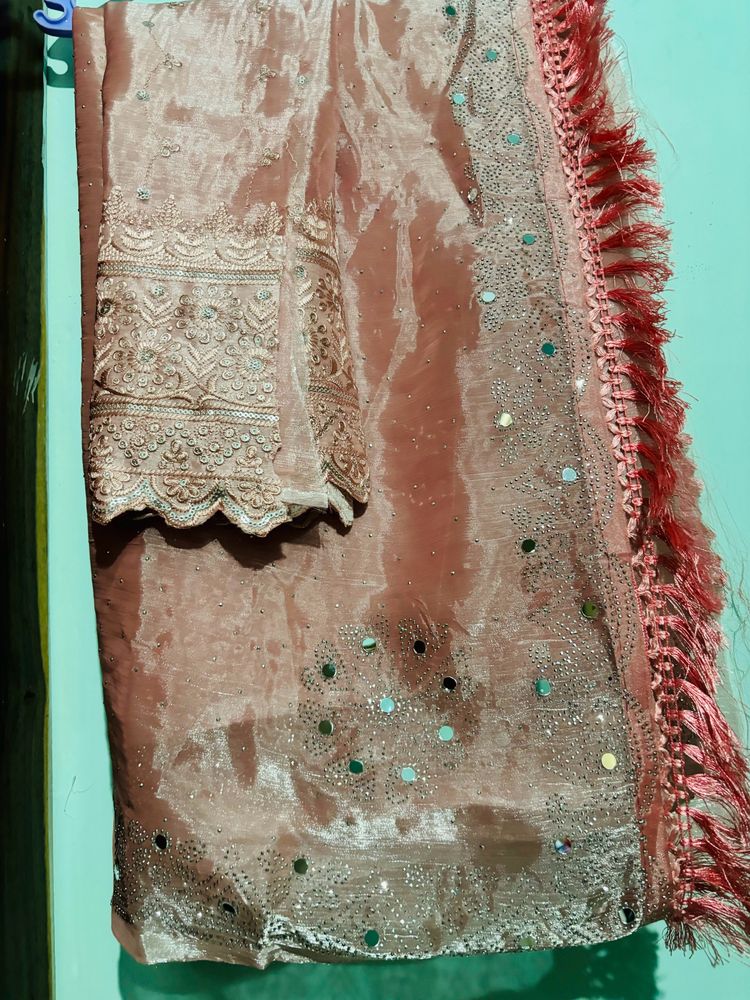 Fixed Price Drop New Party wear Work Saree