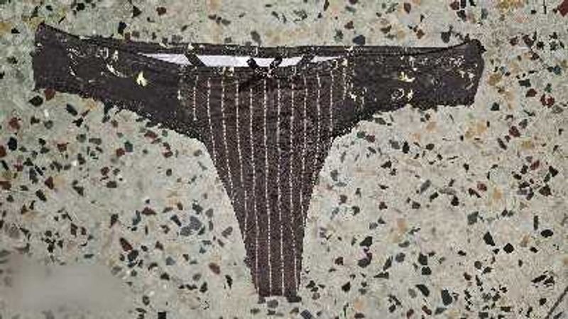 cotton thong panty