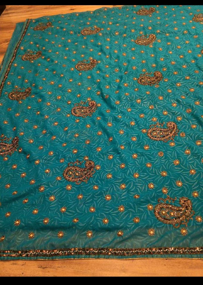 y2k Paisley sea green zari work Saree