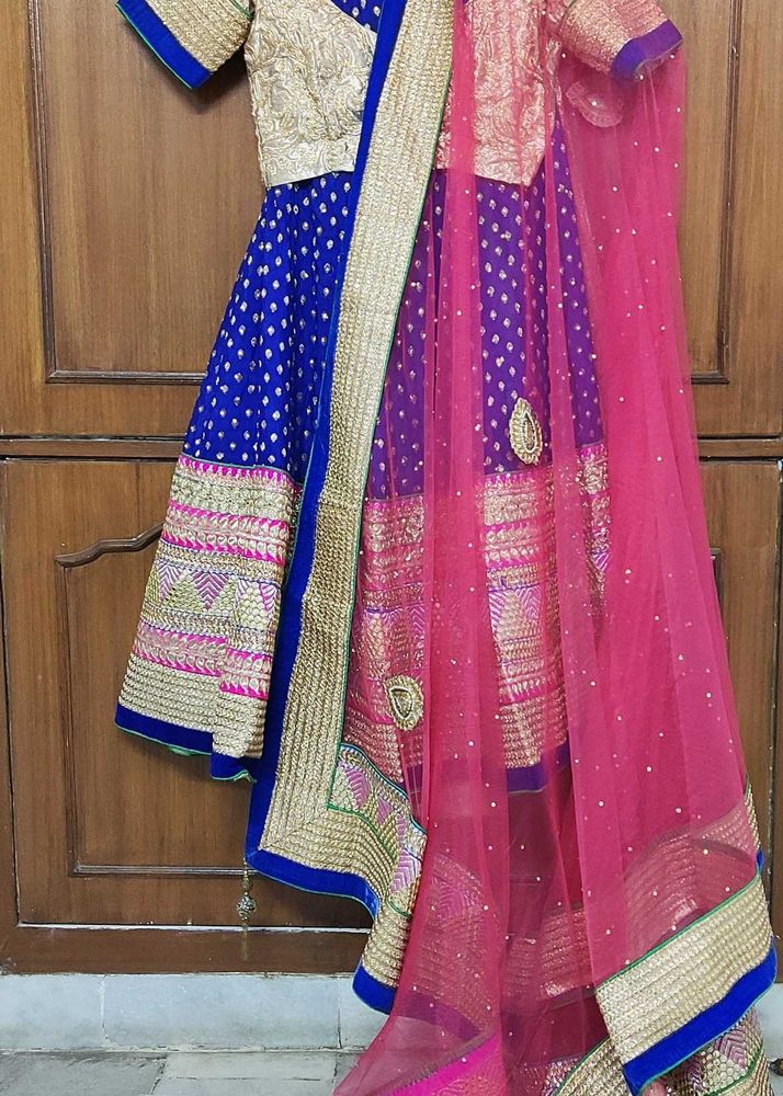 Embellished Blue pink Chiffon lehnga
