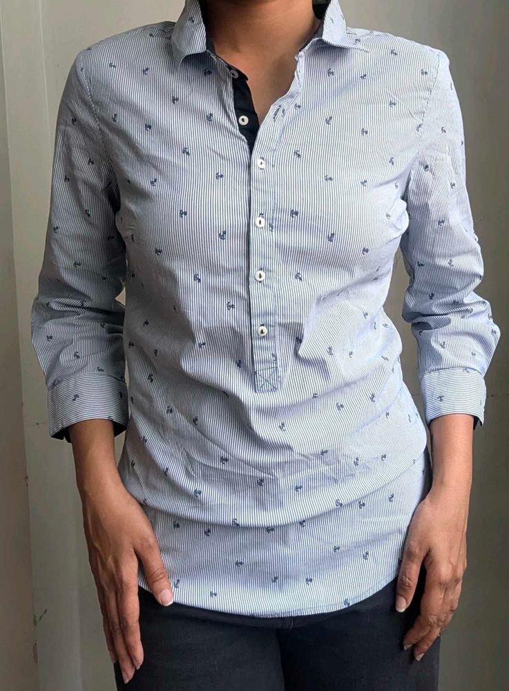 Zara Basic Blue Striped Printed Shirt