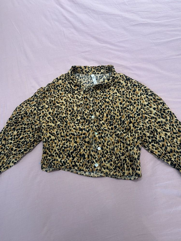 Zara Leopard Print Crop Top - S