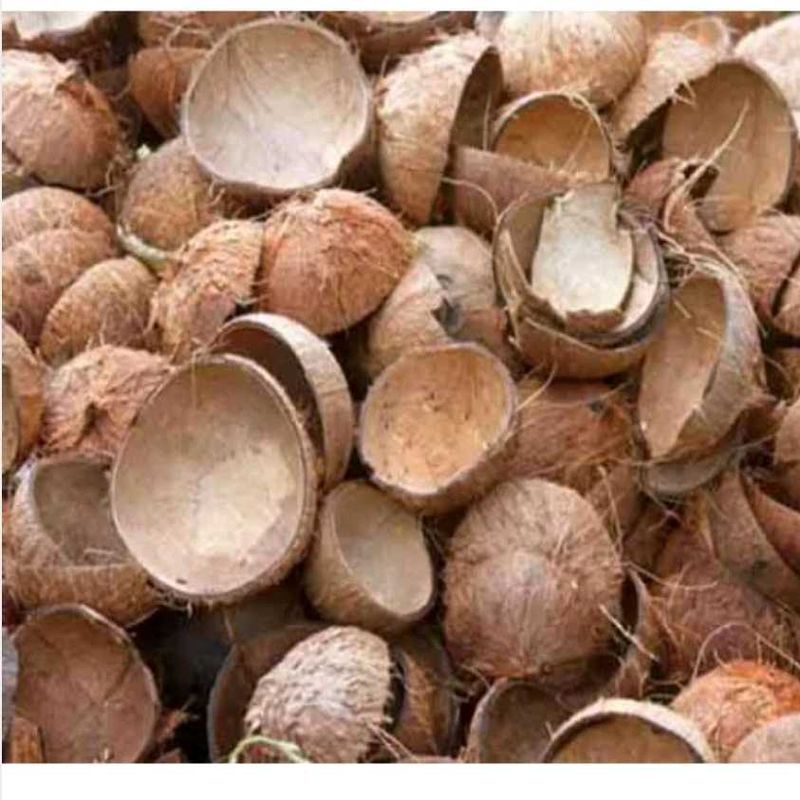 raw material coconut shell