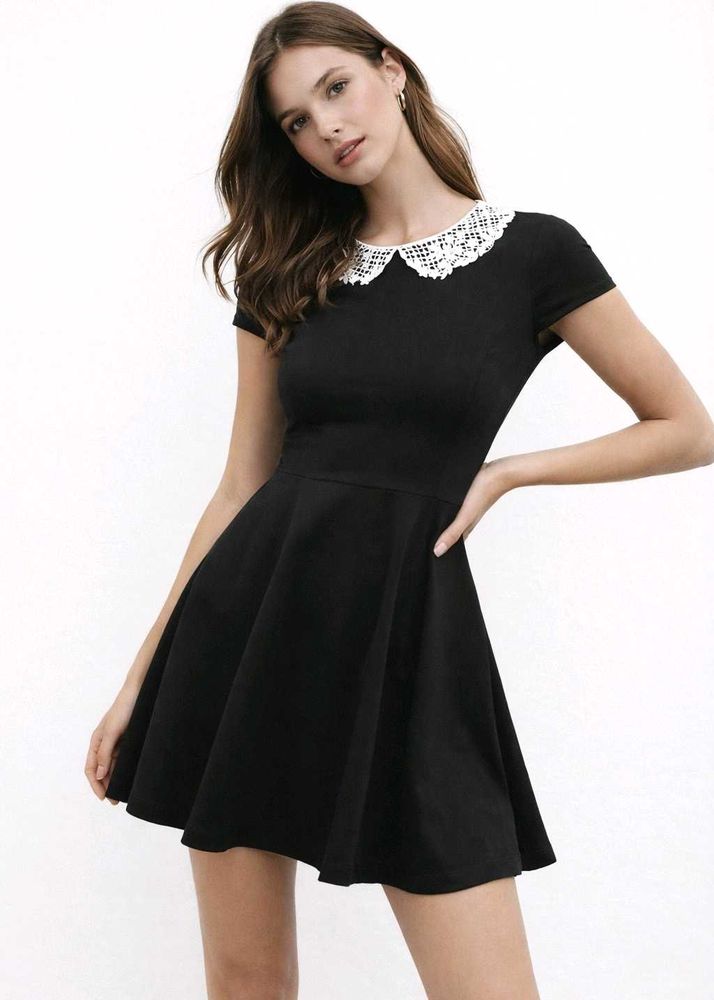 The Elise Lace Collar Little Black Dress