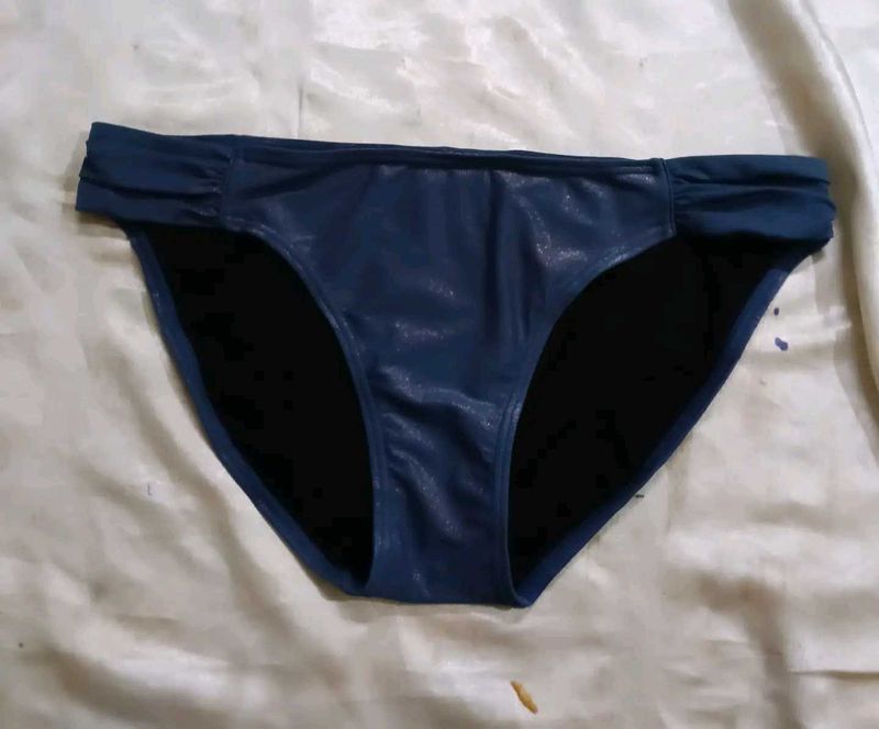 Blue Bikini panty