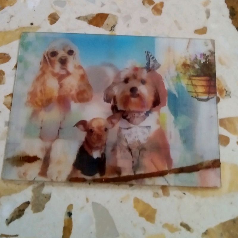 3D Cute Doggy Card 😍❤️