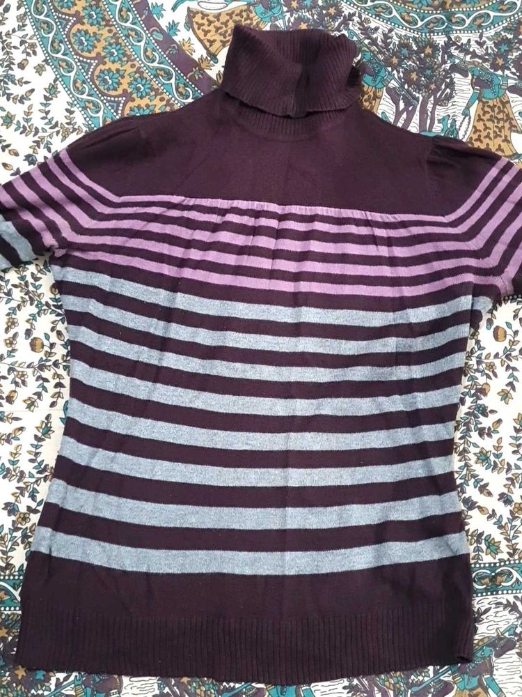 Striped Turtleneck Knit Top