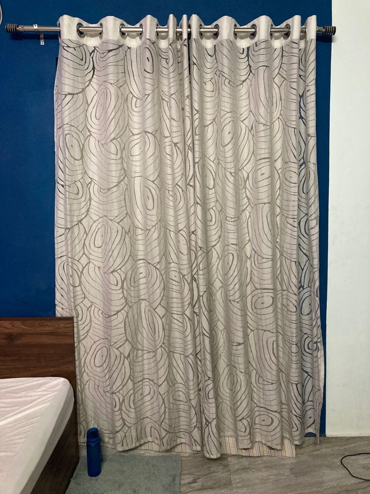 Window Curtains