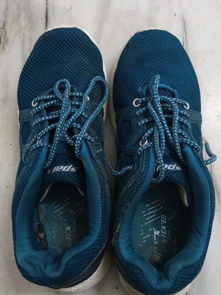 Sparx Men's Teal Sport Shoes