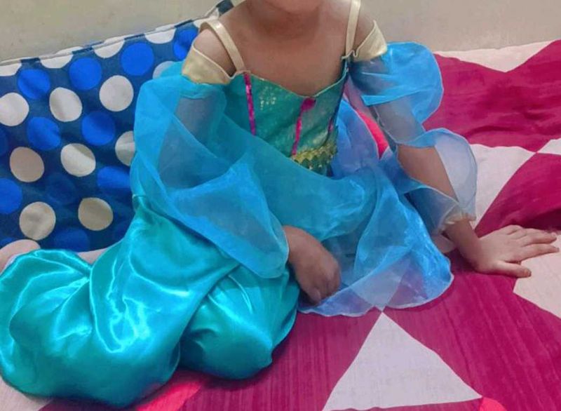Princess Costume Dress