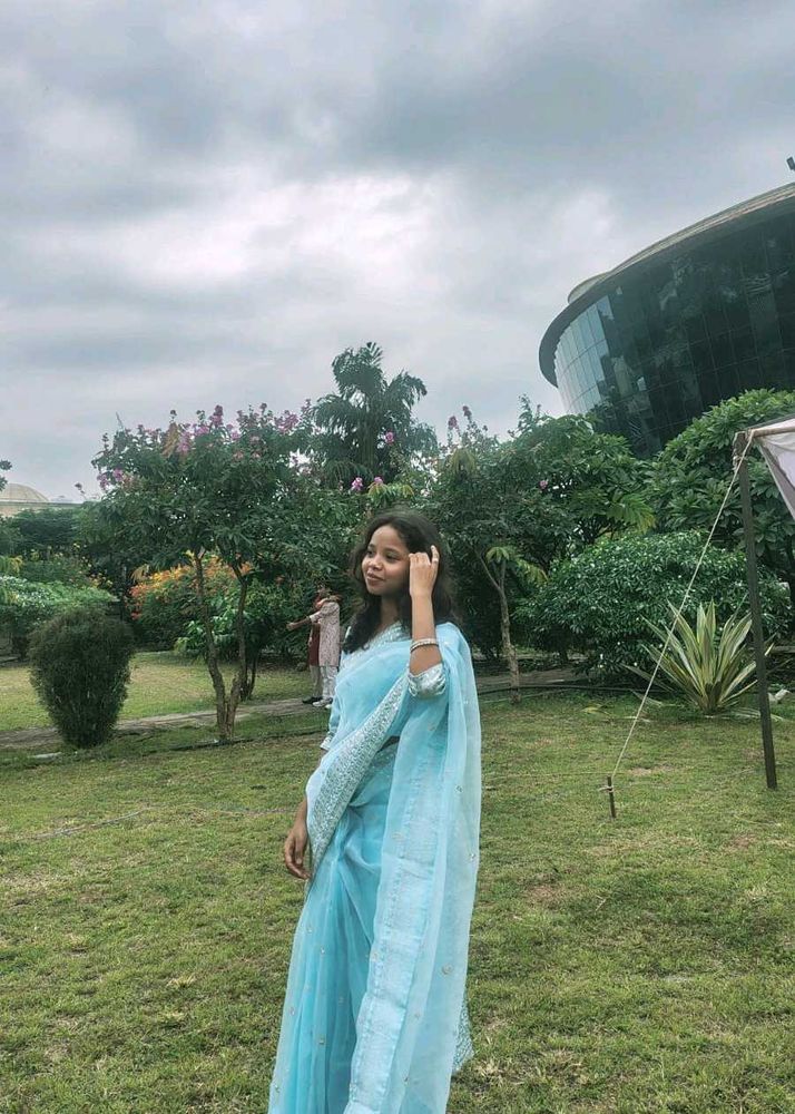 Elegant Blue Saree