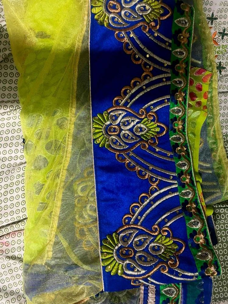 Embroidered Lehenga style saree (ready to wear)