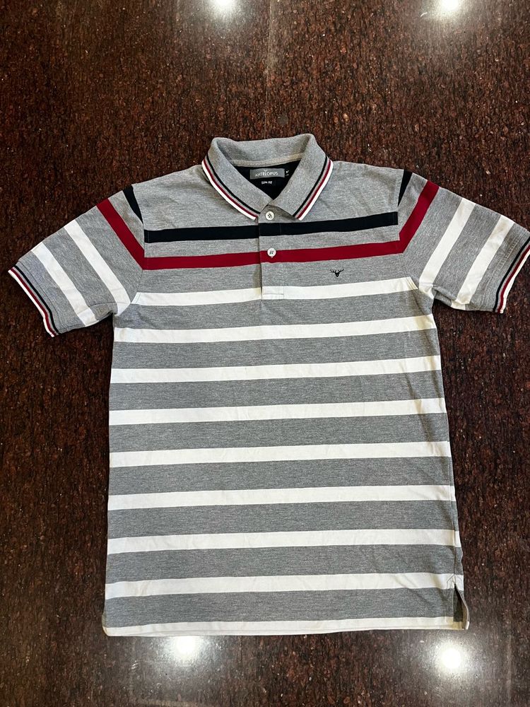 Men's Striped Polo T-Shirt