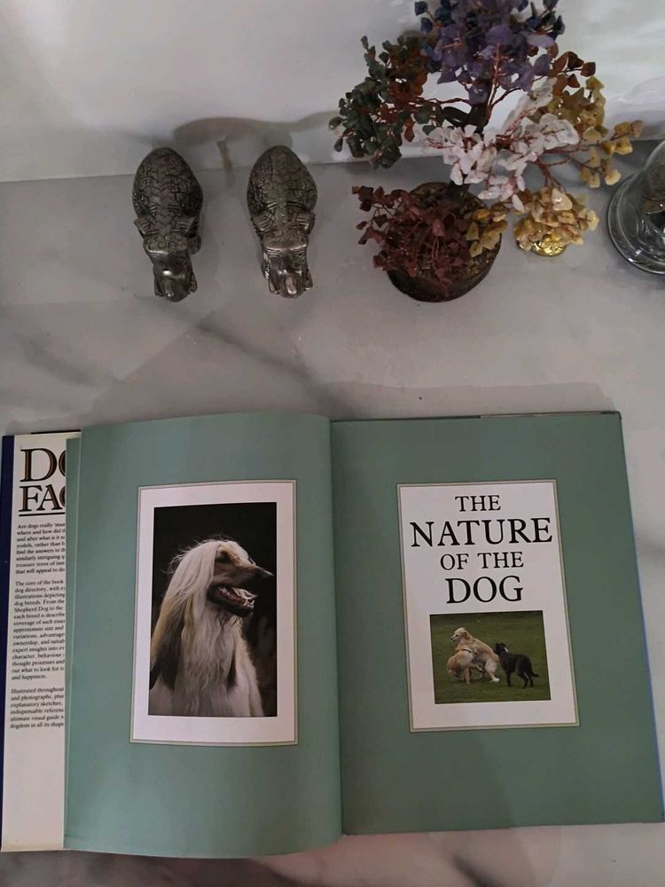 The Nature of Dog Book