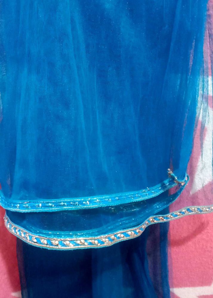 Elegant Blue Net Dupatta