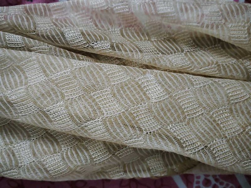 134.Elegant Beige Net Dupatta