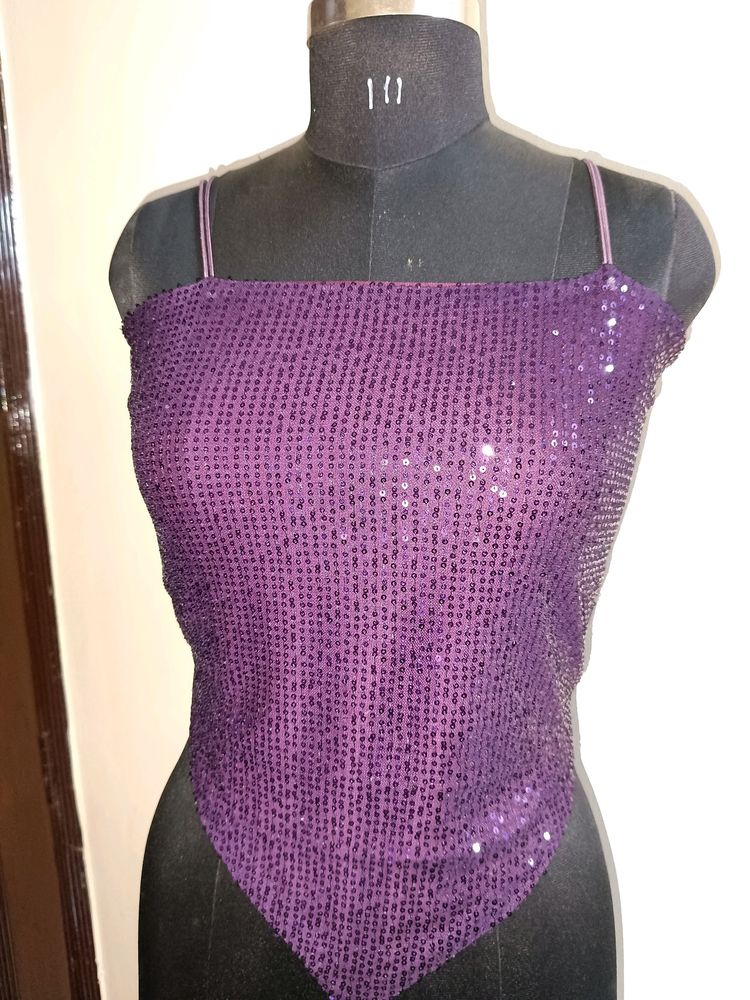 Lycra Net Sequin Top
