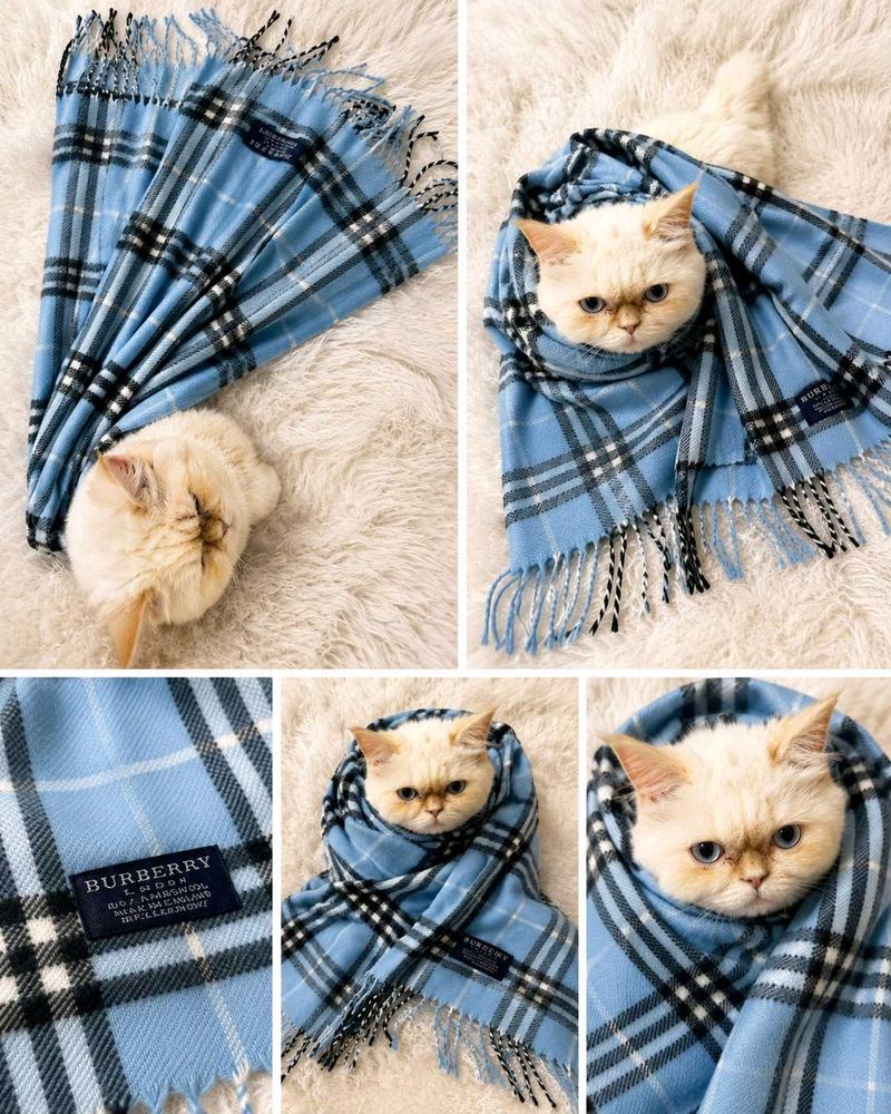 Burberry Plaid Scarf