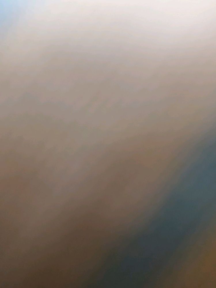 B1