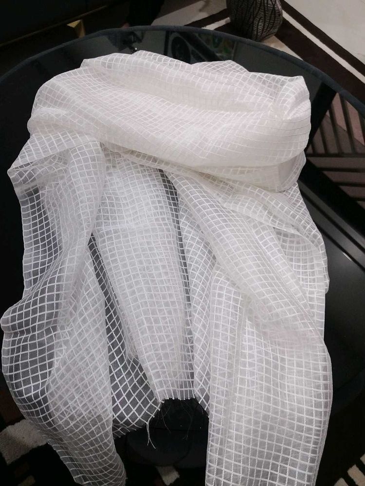 Elegant White Net Dupatta