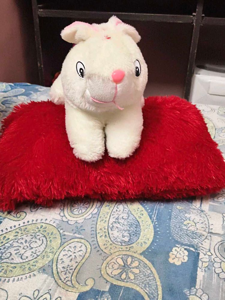 Cute White Bunny with pillow