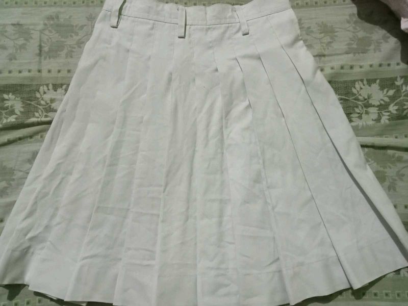 Pleated Skirt