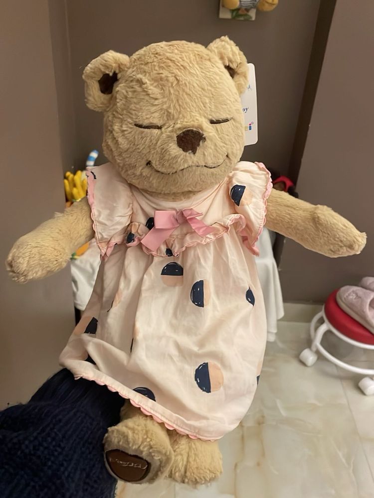 Cute Plush Bear in Dress