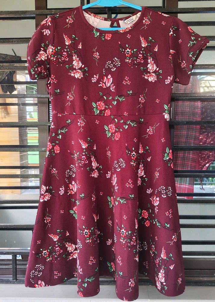Burgundy Floral Print A-Line Dress
