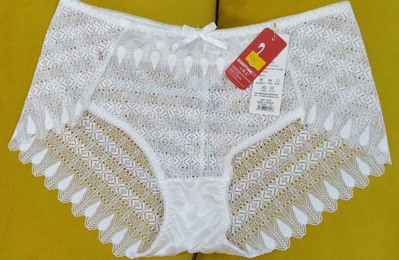 2013 -- Lace Trimmed transparent Panty