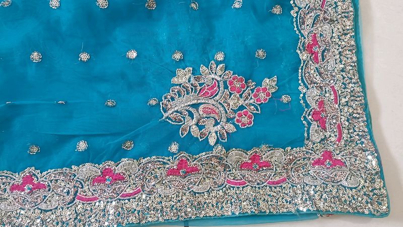 Blue Net Saree