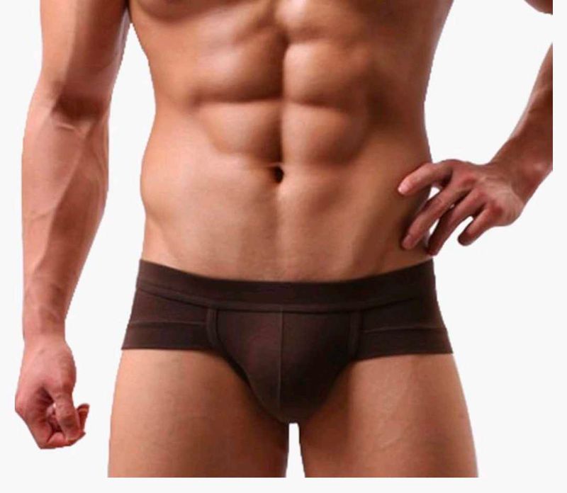 Men's Brown Briefs