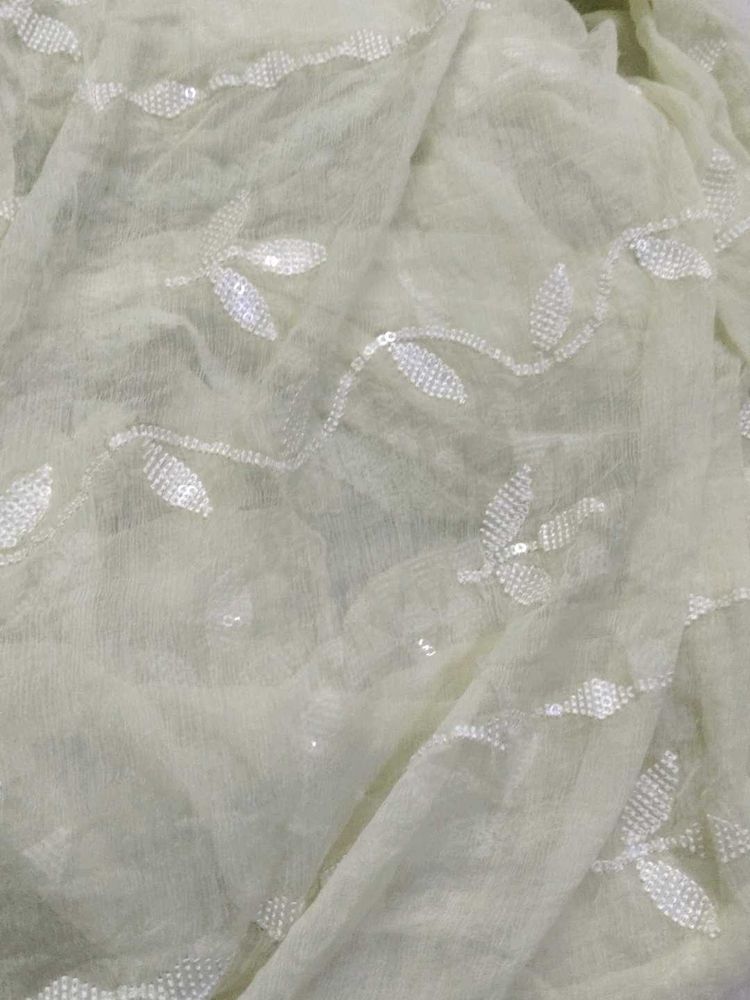 Embellished Net Dupatta