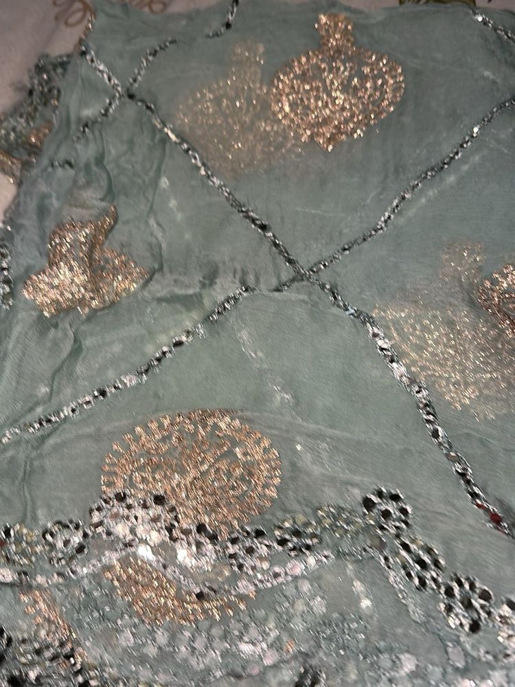 Embellished Mint Green Saree
