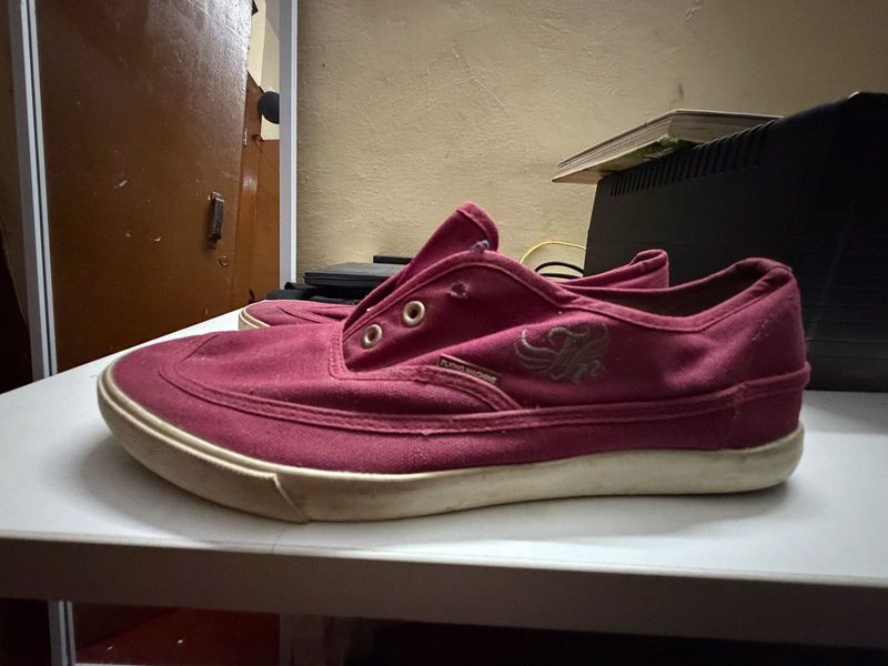 Maroon Canvas Sneakers flying machine