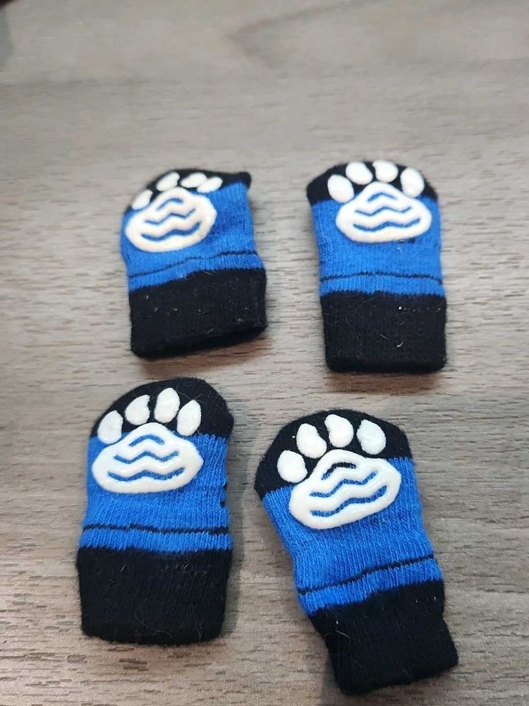 Blue Pet Socks [ Dog And Cat]